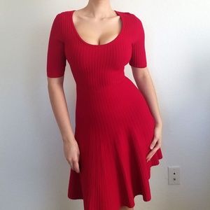 NWOT Stretchy Form Fitting Allie Knit Dress